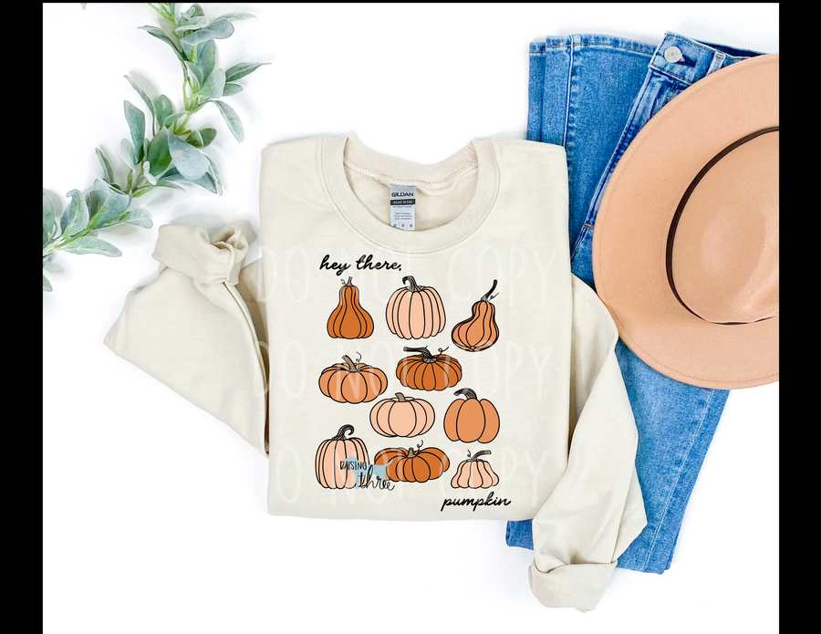 Hey there pumpkin- DTF TRANSFER (RTD)