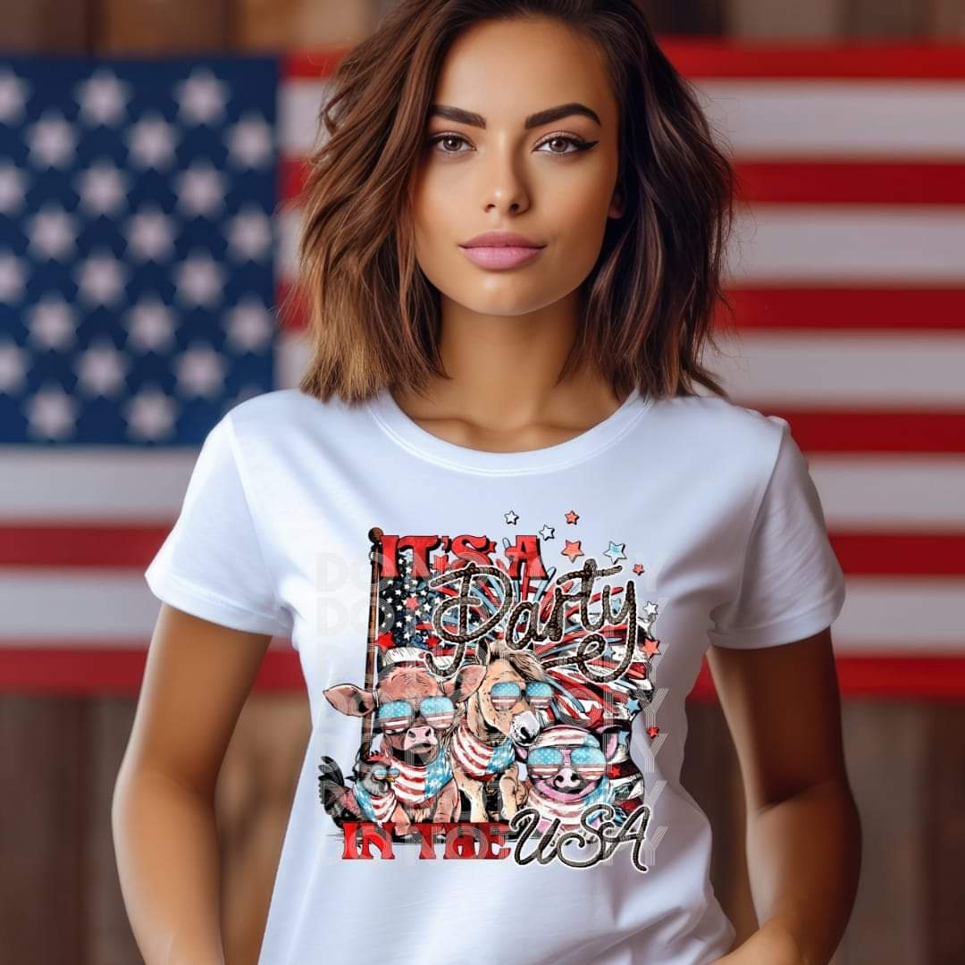 Party In The USA - DTF TRANSFER (SSDD)