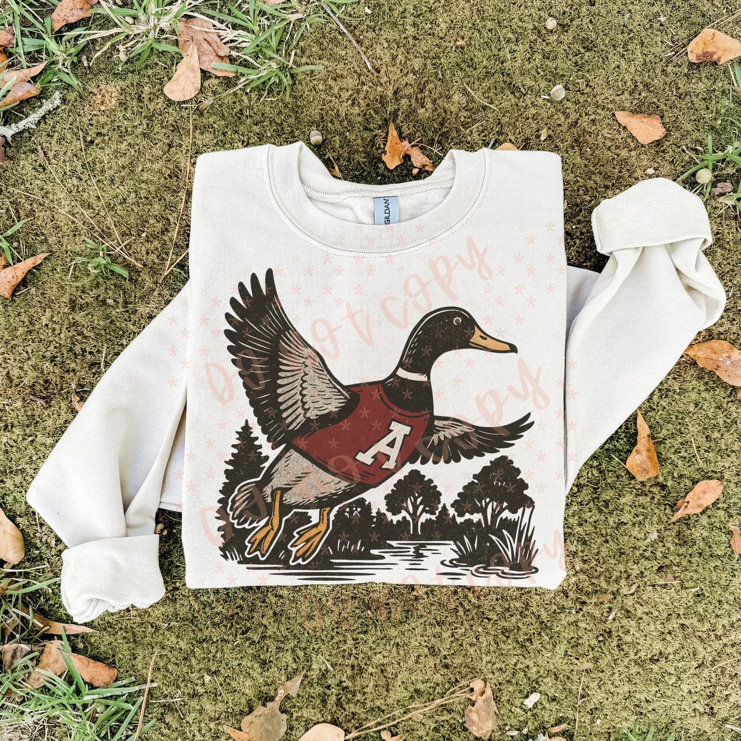 Arkansas Razorbacks ; duck scene - DTF TRANSFER (SYM)