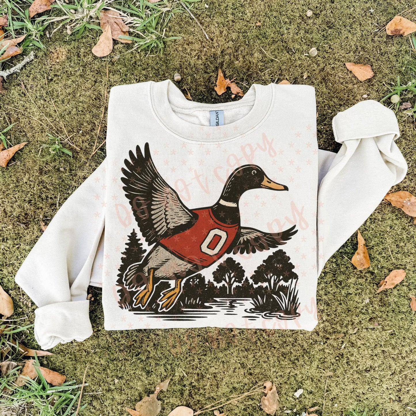 Ohio state Buckeyes ; duck scene - DTF TRANSFER (SYM)