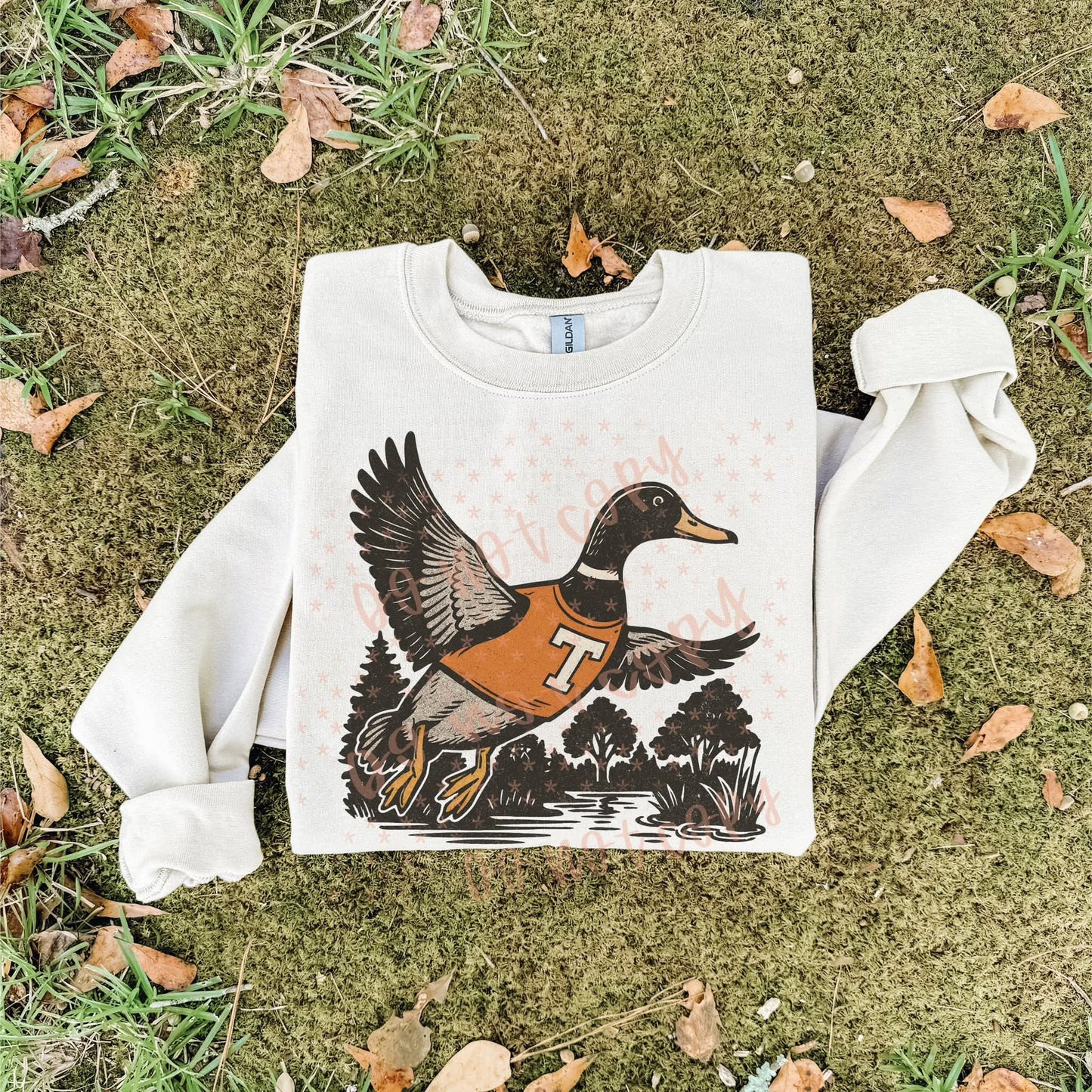 Vols ; duck scene - DTF TRANSFER (SYM)