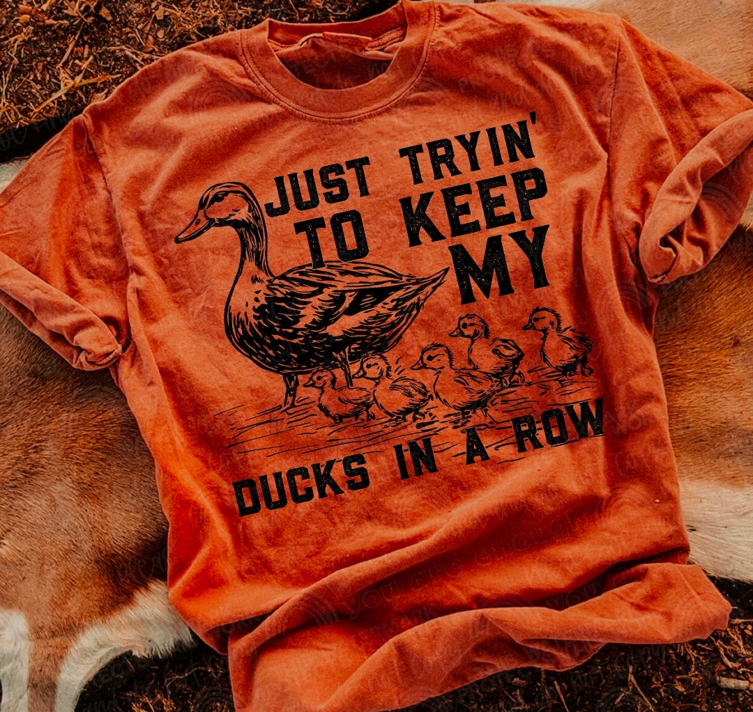 Just trying to keep my ducks in a row - (DTF TRANSFER) SAL