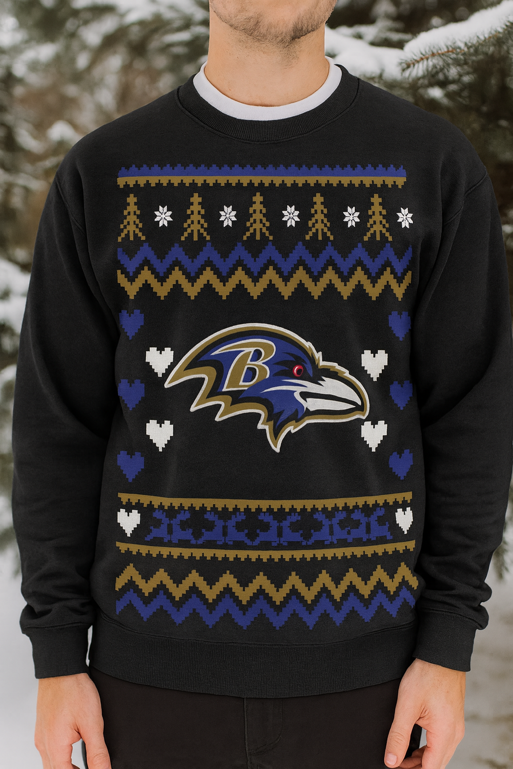 Ravens - DTF TRANSFER (ugly xmas sweater mascot football)