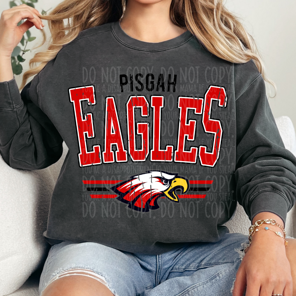 Pisgah Eagles - DTF TRANSFER