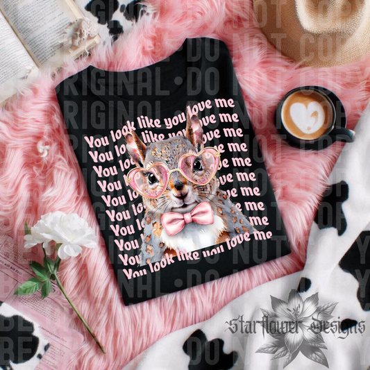 You look like you love me squirrel-DTF TRANSFER (SFD Apr25)