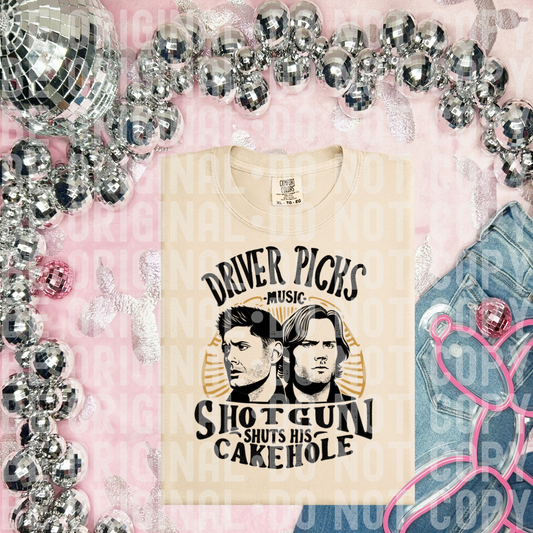 Driver picks the music-DTF TRANSFER (SN)