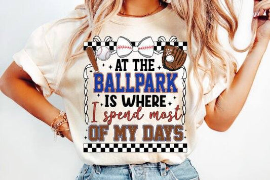 At the ballpark - DTF TRANSFER (CFD)