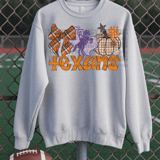 Texans Fall - DTF Transfer (WFD AUG25)