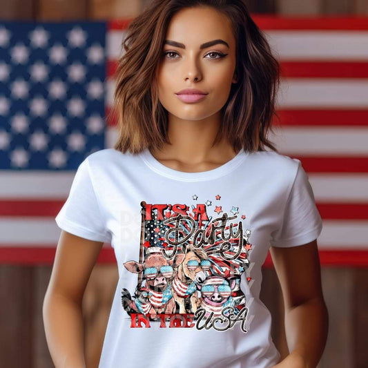 Party In The USA - DTF TRANSFER (SSDD)