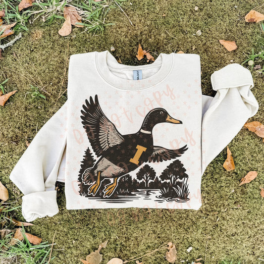 Hawkeyes ; duck scene - DTF TRANSFER (SYM)