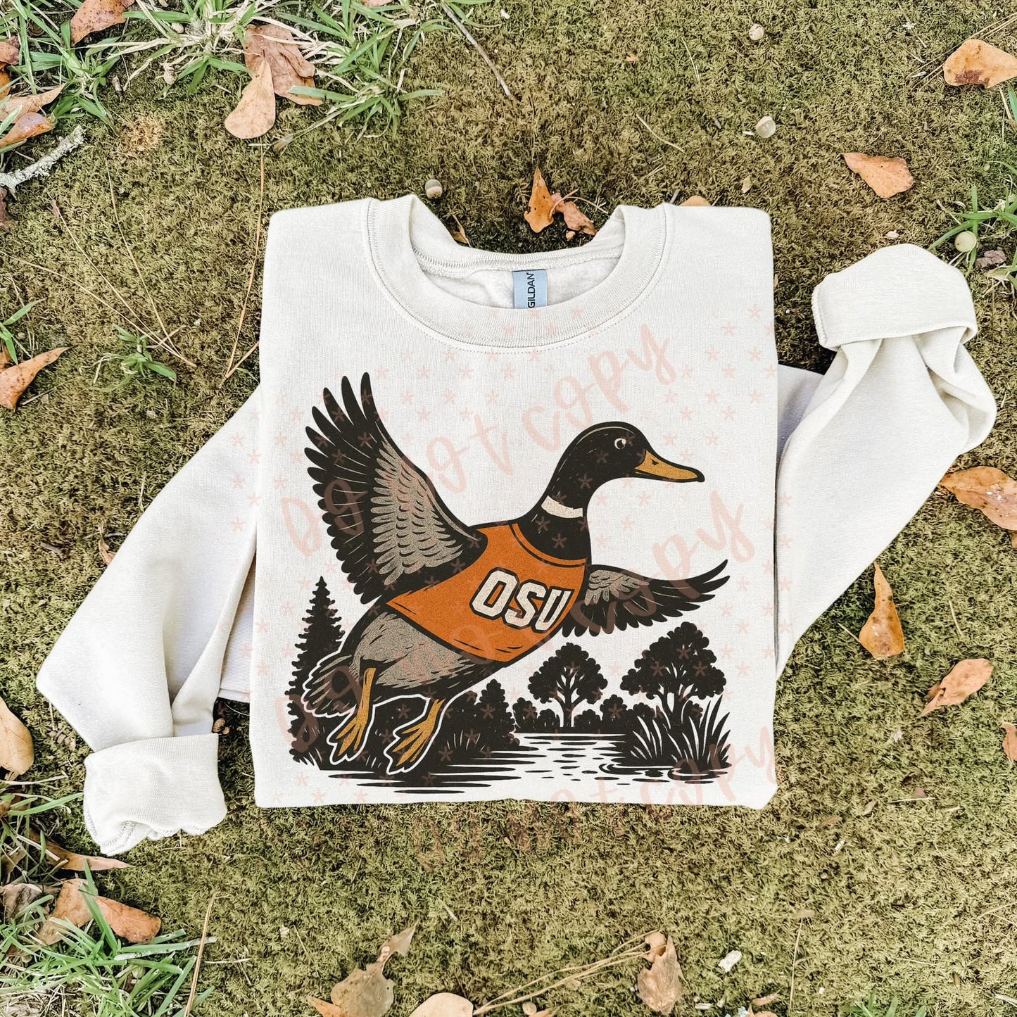 Osu Buckeyes ; duck scene - DTF TRANSFER (SYM)