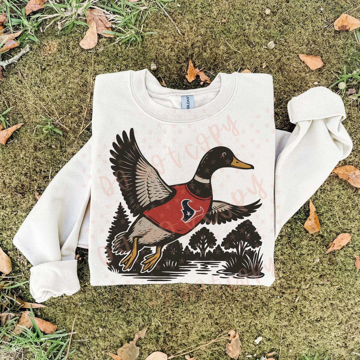 Texans ; duck scene - DTF TRANSFER (SYM)