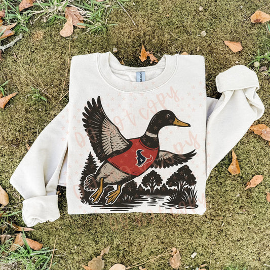 Texans ; duck scene - DTF TRANSFER (SYM)