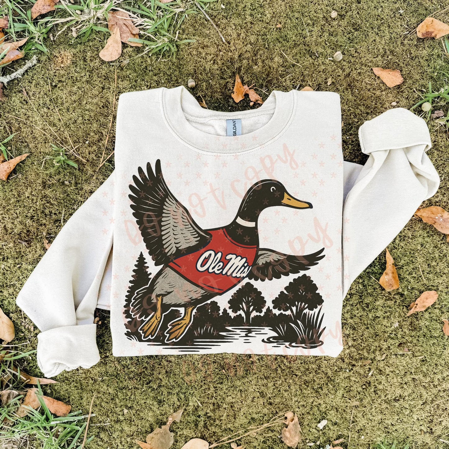 Ole Miss ; duck scene - DTF TRANSFER (SYM)
