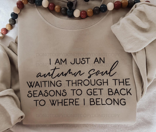 I am just an autumn soul - DTF TRANSFER (SYM)