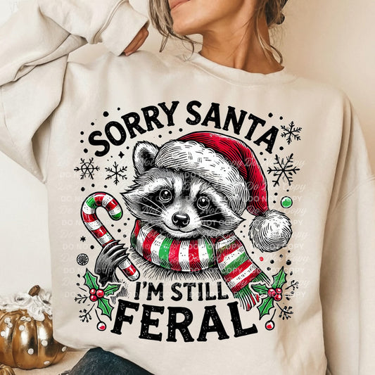 Sorry Santa I'm still feral raccoon - DTF TRANSFER (BYD)