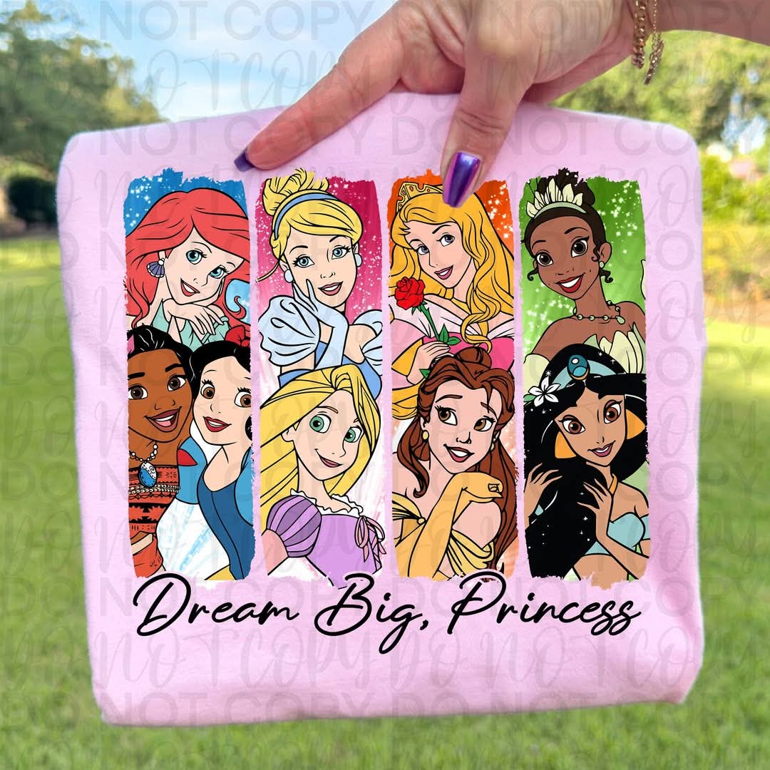 Dream big princess brushstrokes (DTF TRANSFER) TUAC