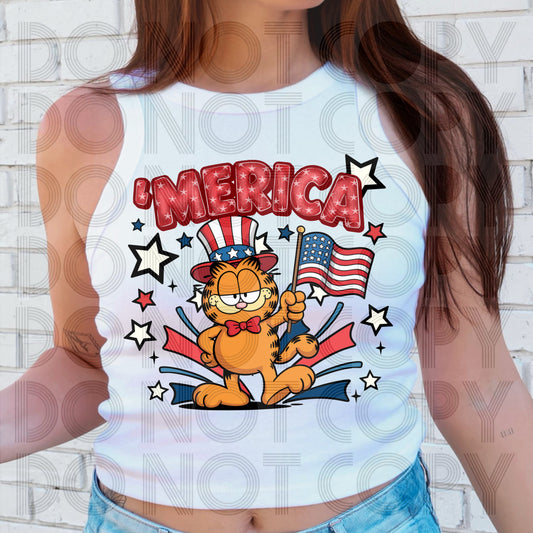Merica cat - DTF TRANSFER (Blast from the past Collab)
