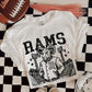 Letterman jacket mascots (DTF TRANSFER) PHDC