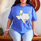 Dalmatian dots state names - pick your state! DTF TRANSFER (TED)