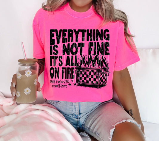Everything is not fine it's all on fire - DTF TRANSFER (All the snarky Collab PHDCXDDV)