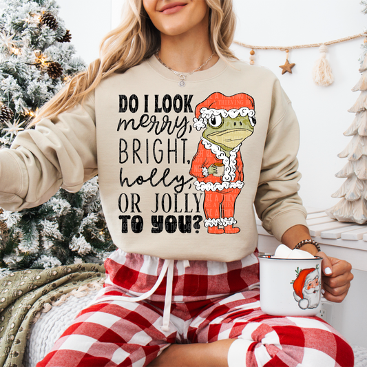 Do I look merry & bright  - DTF TRANSFER (SCRLW)