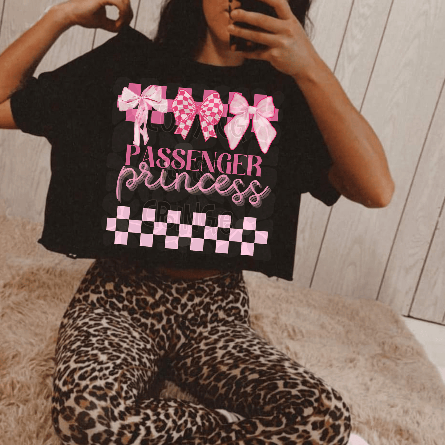 Passenger Princess - DTF TRANSFER (WRS)