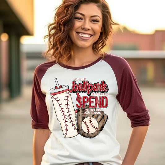 At The Ballpark Baseball - DTF TRANSFER (TED)