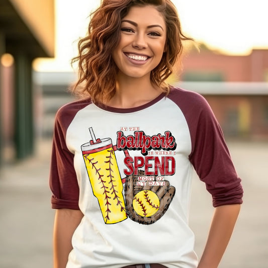 At The Ballpark Softball - DTF TRANSFER (TED)