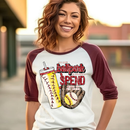 At The Ballpark Baseball Softball - DTF TRANSFER (TED)