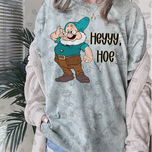 Hey hoe - DTF TRANSFER (NBD snarky diz)